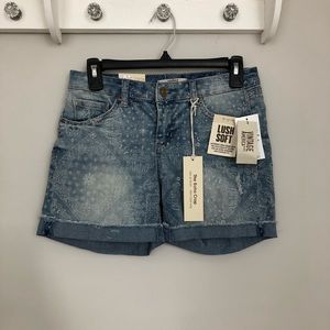 Vintage America Blues Denim Shorts